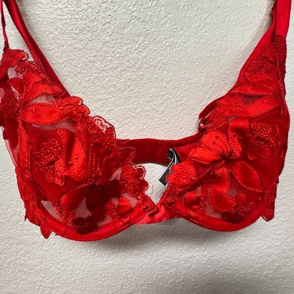 GORGEOUS Victoria's Secret 32DDD Very Sexy Red Floral Lace Appliqué Plunge Bra - Picture 3 of 8